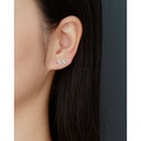 Silver Stainless Steel Oval Earrings (copy)