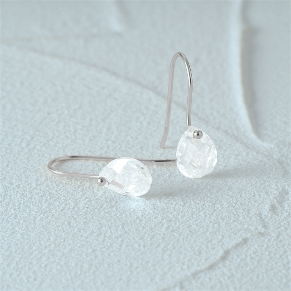 Silver Stainless Steel Oval Earrings (copy)