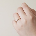 Gold Titanium Steel - Oil Drip Split Ring