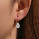 Sterling Silver Cubic Zirconia Drop Earrings