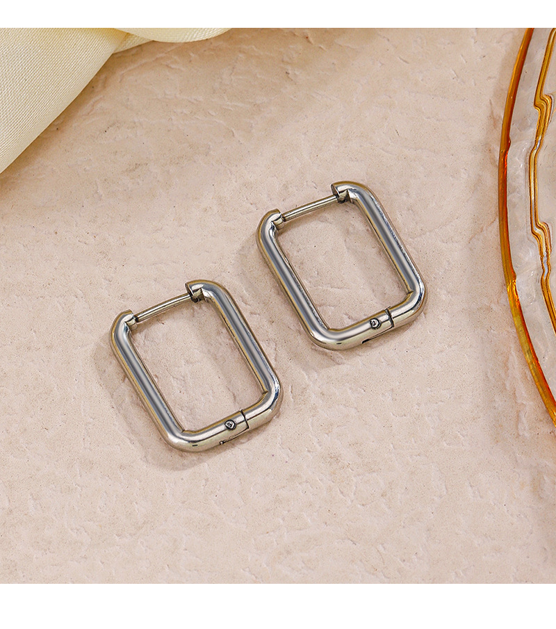  Stainless Steel Rectangular Earrings 