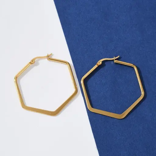 [ear70] Gold Stainless Steel Hoop Earrings