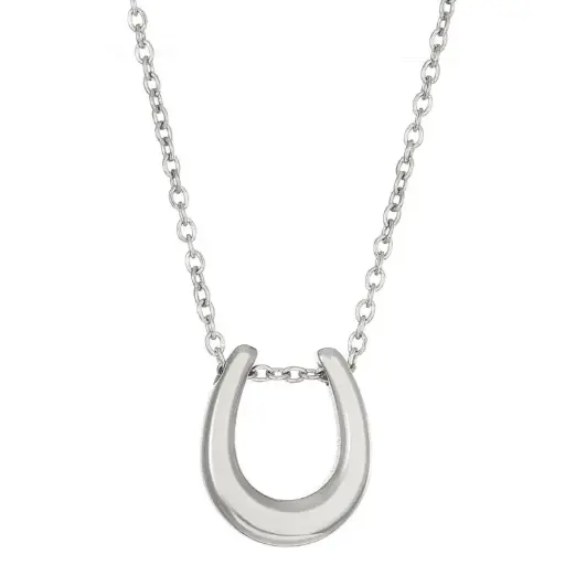 [ASUC59812] Silver Titanium Steel Horseshoe U-shaped Necklace