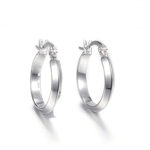 [X-STAS-F034-09] 304 Stainless Steel Hoop Earrings, Ring, Silver Color Plated