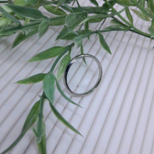 Stainless Steel Ring - size #12