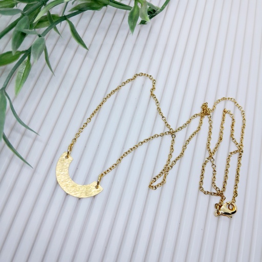 Gold Stainless Steel necklace with raw brass charm